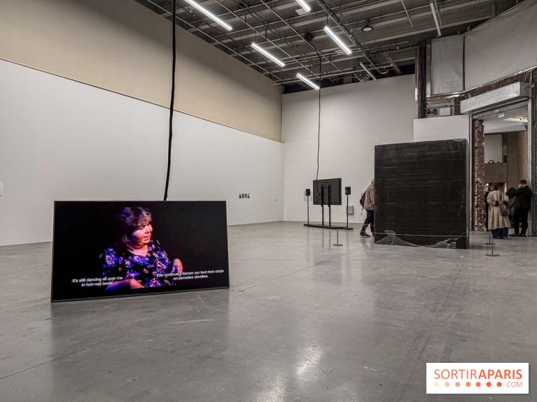 Au Palais de Tokyo, Cheryl Marie Wade explore la culture crip et la poésie engagée - IMG 5955