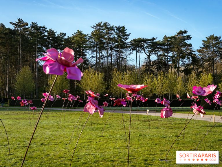 Hanami au Parc de Sceaux 2026, les cerisiers en fleurs et ses  animations