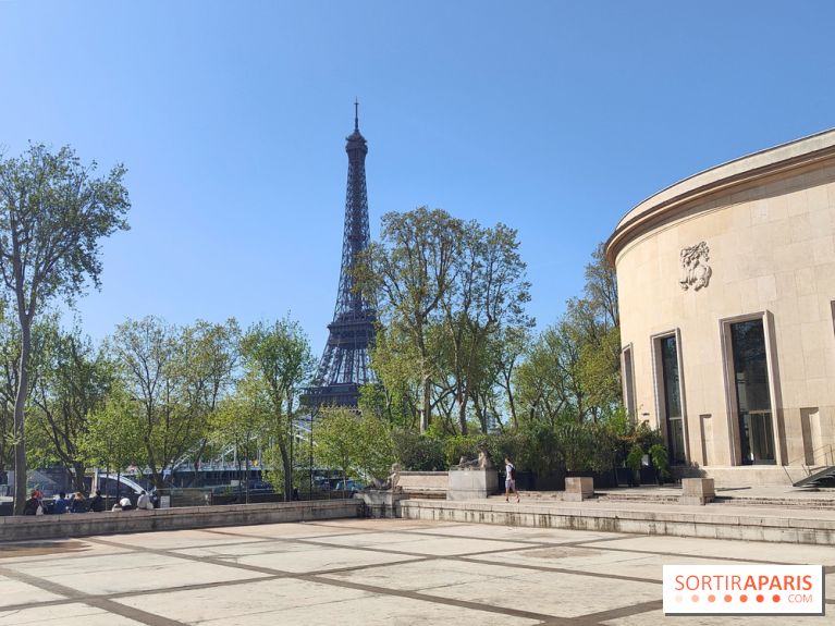 Le musée d'art moderne et ses collections à Paris