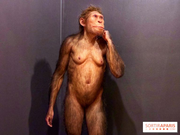 Préhistoire, entre utopie et réalité  - IMG 5555