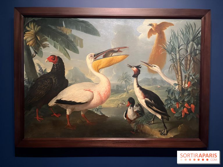Plumes de Paradis, l'expo au musée du Quai Branly - nos photos