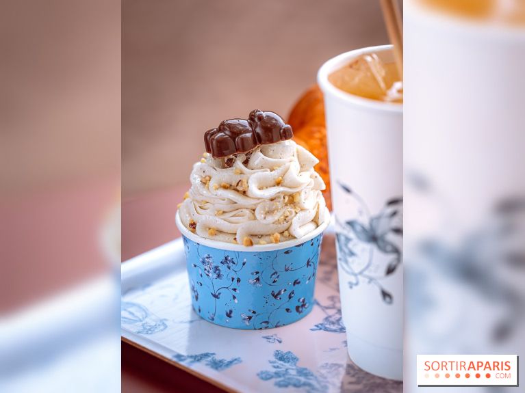Le comptoir à glaces de Pleincœur et ses coupes glacées - photos