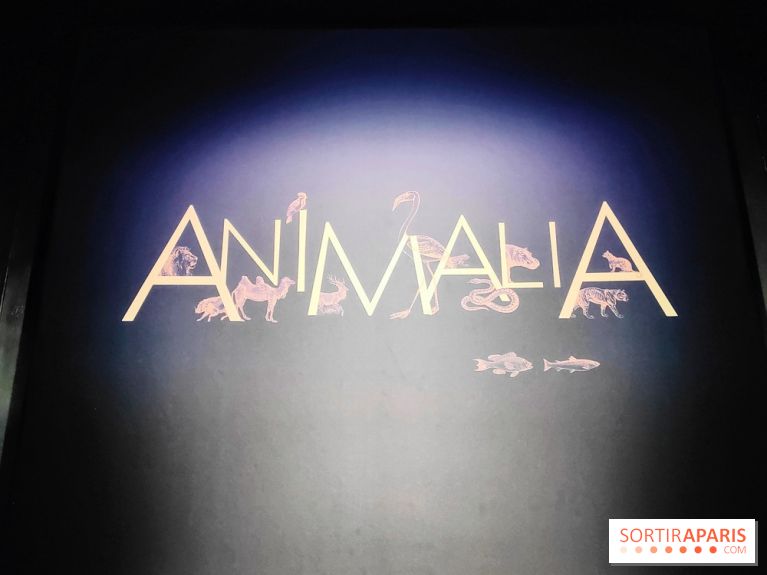 Expo Animalia : quand les animaux inspirent les artistes à travers les siècle à l'Hôtel de la Marine