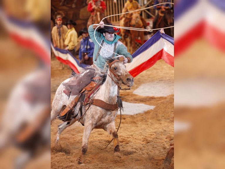 La Légende de Buffalo Bill à Disney Village