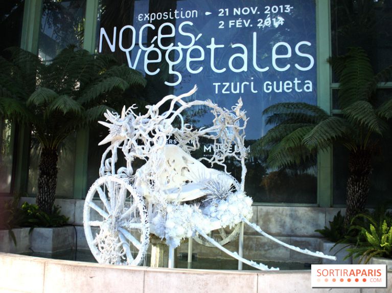 Noces Végétales au Jardin des Plantes : la calèche