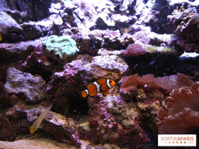 Aquarium de la Porte Dorée à Paris