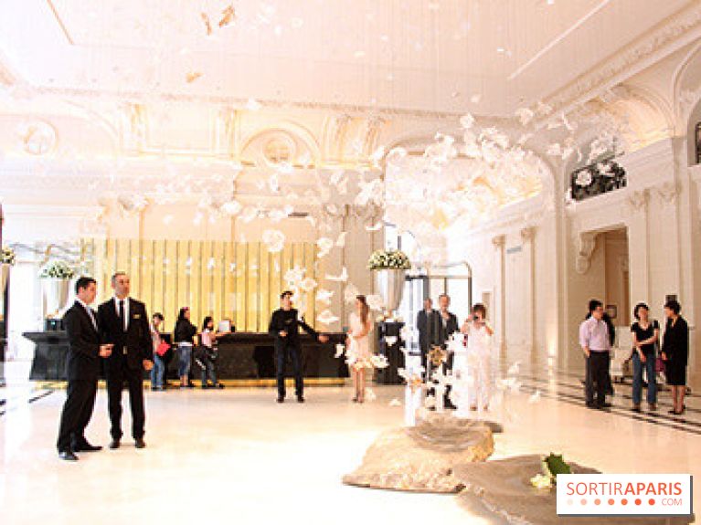 Peninsula : réception