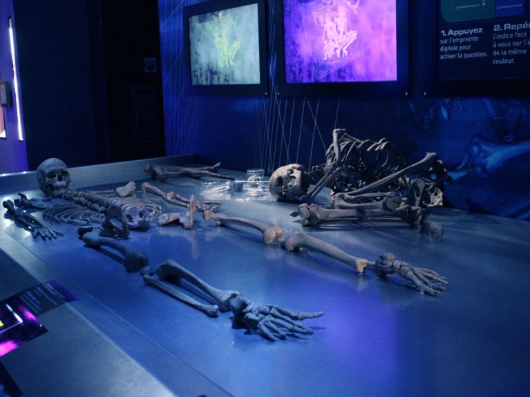 Préhistoire(s), l'enquête