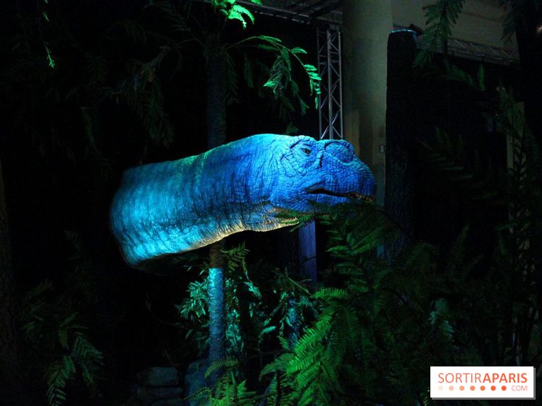 Autour des dinosaures au Palais de la Découverte