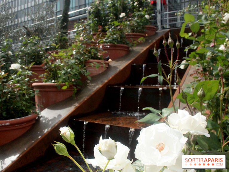 Jardin d'Orient à l'Institut du Monde Arabe