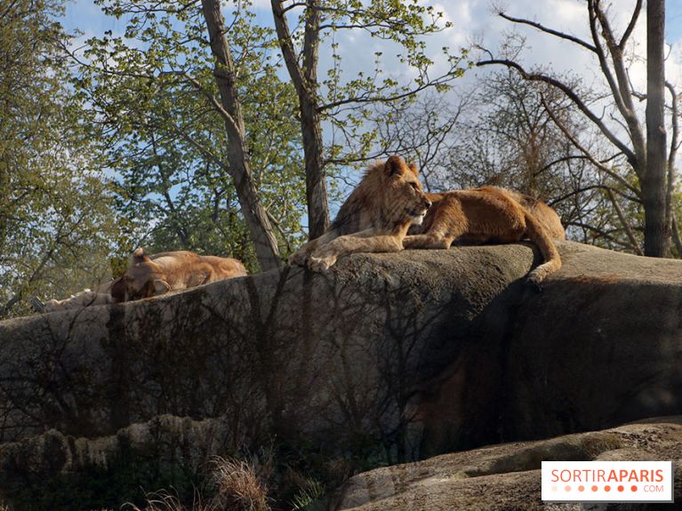 Zoo de Vincennes, Parc Zoologique de Paris 2017