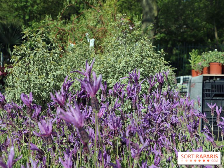Jardins en Seine 2017