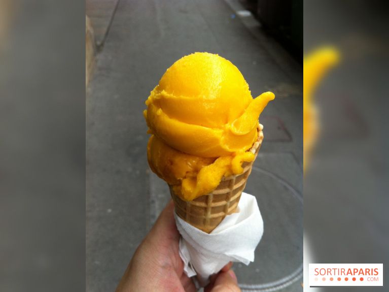 Bac à Glace, Sorbet Mangue