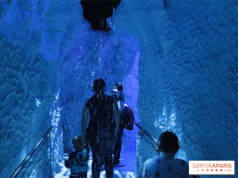 Les Manchots de l'Aquarium Sea Life