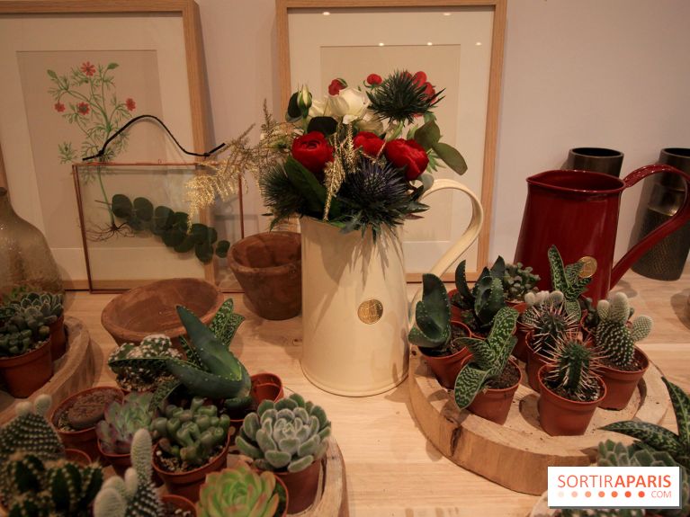 Le pop-up Store de Bergamotte