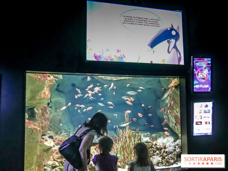 Loup préserve les océans à l'Aquarium de Paris, les photos