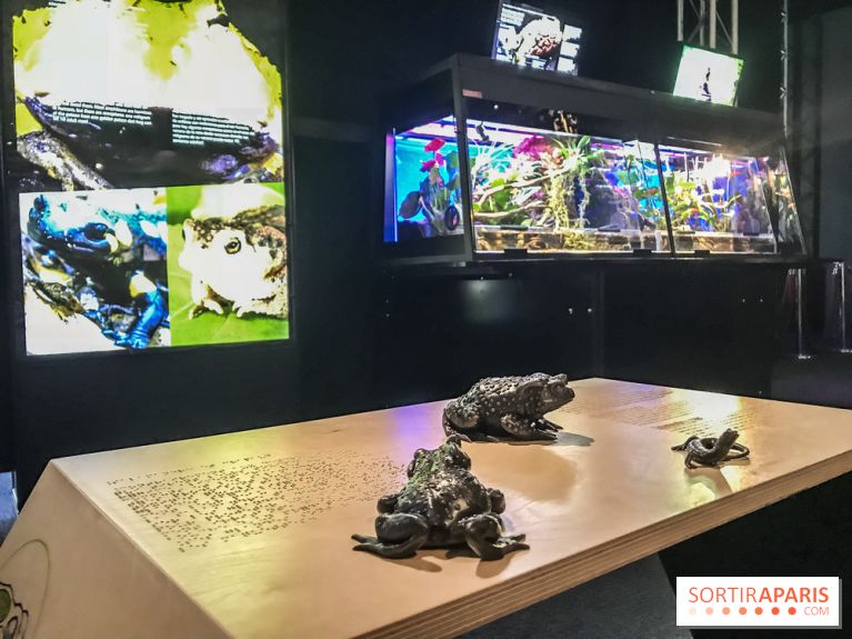 Poison au Palais de la Découverte, les photos 