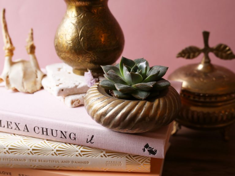 The Blond Cactus, quand le cactus passe en mode vintage