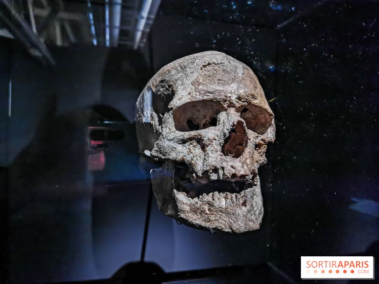 Exposition Préhistoire, un invention moderne au Centre Pompidou, les photos