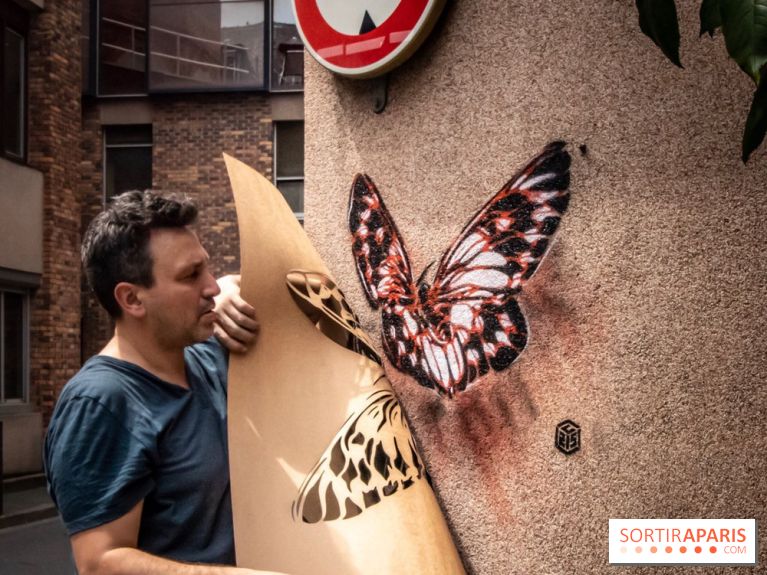 Les Papillons de C215