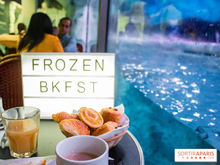 Les petits déjeuners avec les manchots de l'aquarium Sea Life