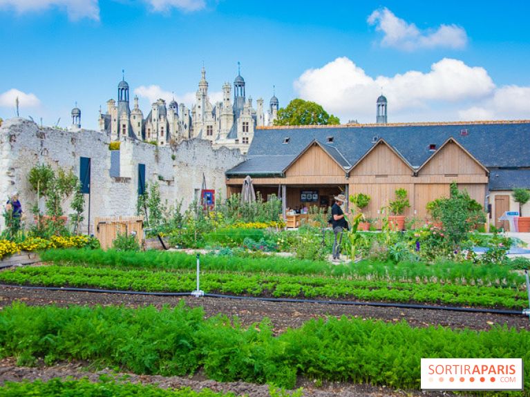 Le Château de Chambord fête ses 500 ans : le programme des festivités