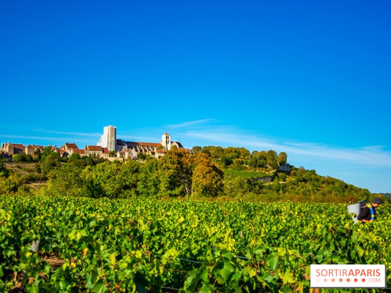 Le Château de Vault-de-Lugny - excursions dans la région