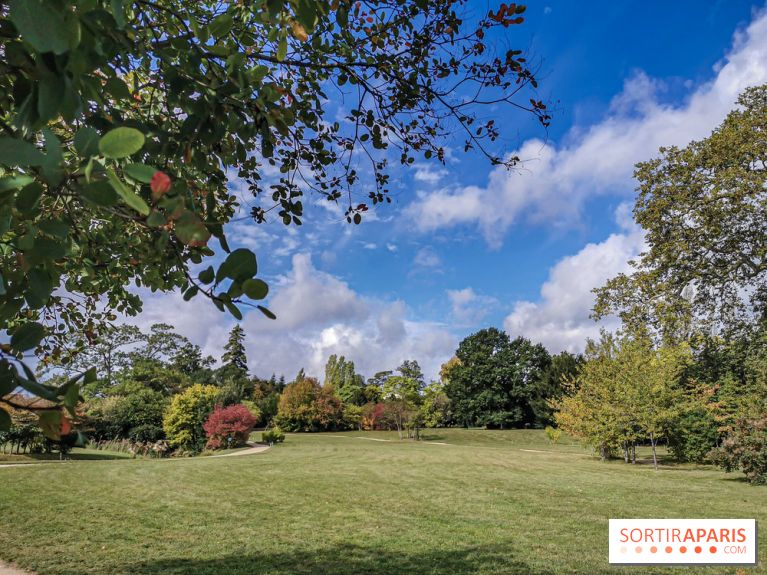 Le parcours des Arbres Admirables dans le domaine du château de Versailles