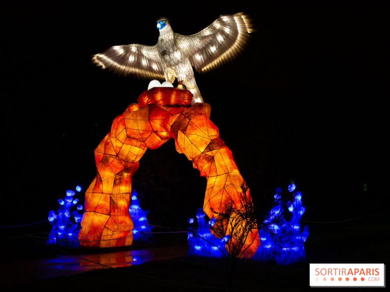 Océan en voie d'illumination : nos photos