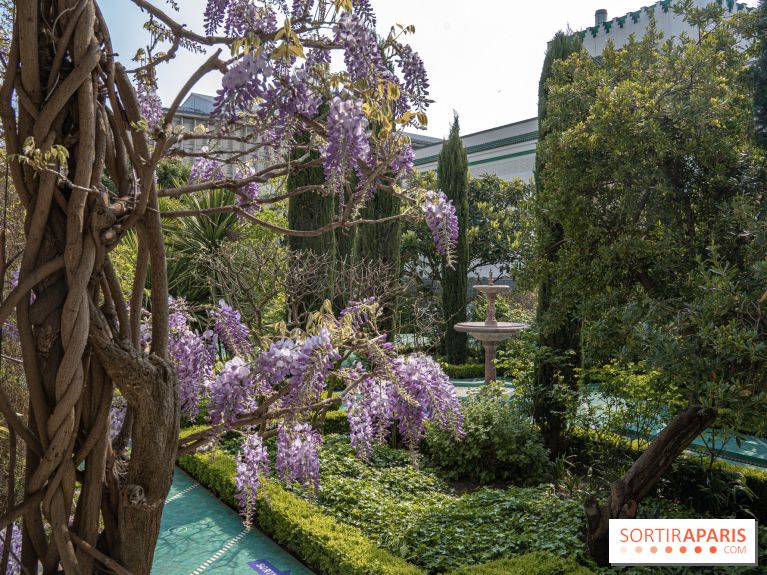 La Mosquée de Paris et son jardin en fleurs
