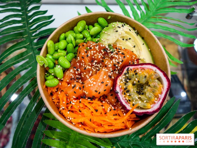 Pokelife, les photos