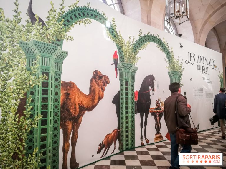 Les animaux du Roi, une exposition qui a du chien au Château de Versailles - nos photos