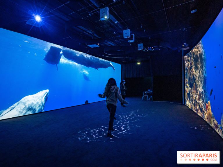 Photos : Odyssée sensorielle, l’expo immersive au Museum 
