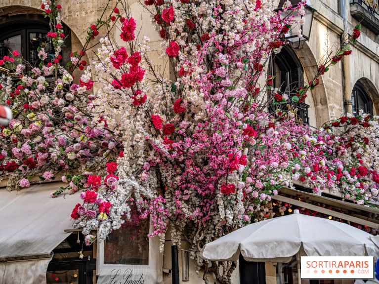 Les cafés fleuris de Paris