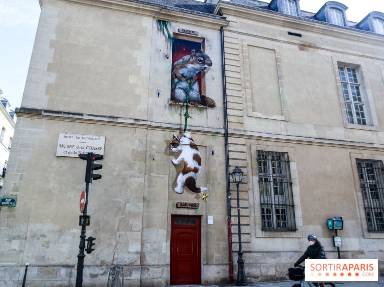 Incursions sauvages, nos photos