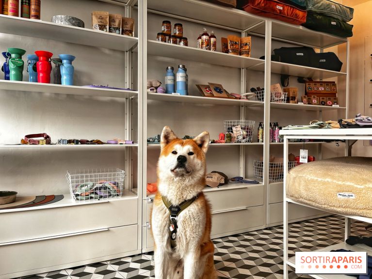 Barkers+Brothers, le concept store canin pour chouchouter son chien à Montmartre