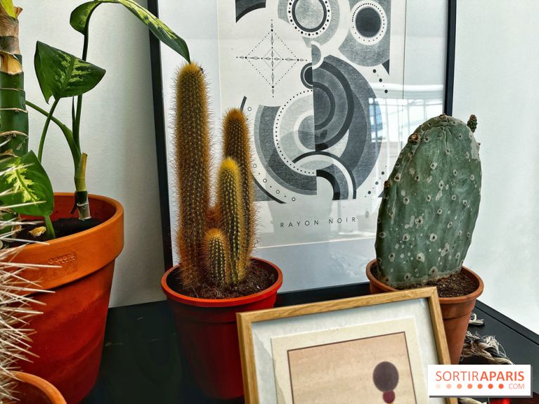 Rayon Noir, le salon de tatouage et de design moderne et accueillant du 12e arrondissement