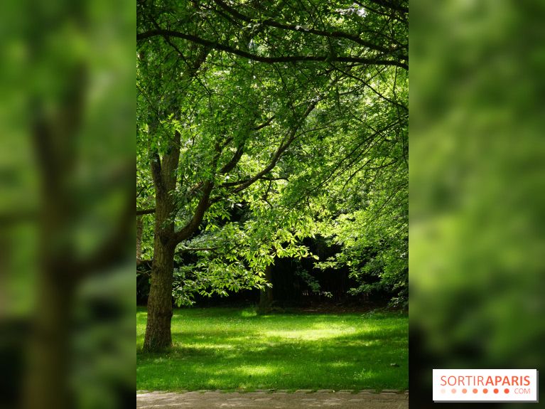 Arboretum de la Vallée-aux-Loups, une balade au milieu des arbres remarquables