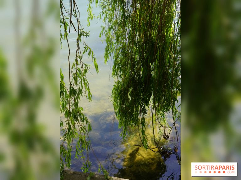 l'Île des Impressionnistes à Chatou