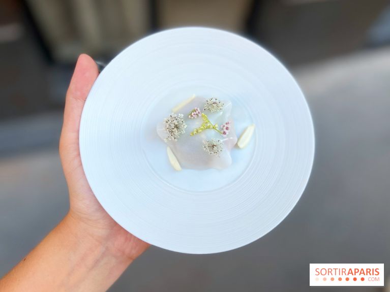 NESO Guillaume Sanchez x The Botanist