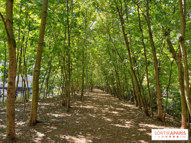 Balade sur la Petite Ceinture du 14 au 16e arrondissement : un sentier nature dépaysant