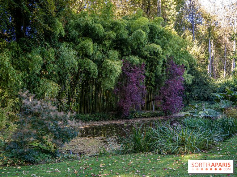 Le Jardin japonais du Château de Courances