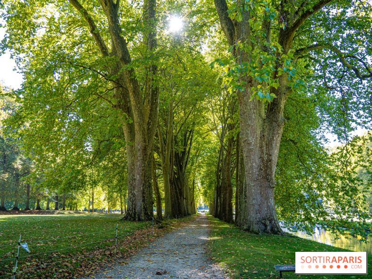 Parc et Domaine du Château de Courances