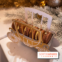 Bûche de Noël Ladurée 2022 - macaron