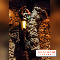 Le Musée des Arts Forains - Pavillon de Bercy : un musée insolite et enchanteur à Paris