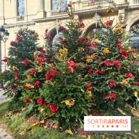 Noël Paris visuels - cadeau - sapin - Marché de Noël - cadeau de Noël - décoration - Mairie 11e