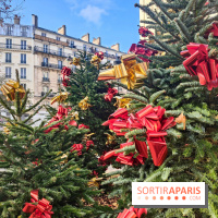 Noël Paris visuels - cadeau - sapin - Marché de Noël - cadeau de Noël - décoration - Mairie 11e