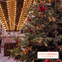 Noël Paris visuels - sapin