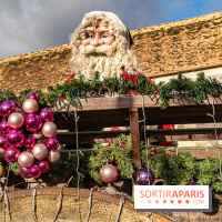 Noël Paris visuels - cadeau - sapin - Marché de Noël - cadeau de Noël - décoration -  A7C8907