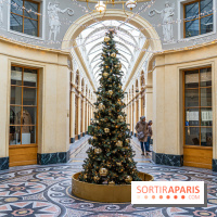 Noël Paris visuels - cadeau - sapin - Marché de Noël - cadeau de Noël - décoration -  A7C9116